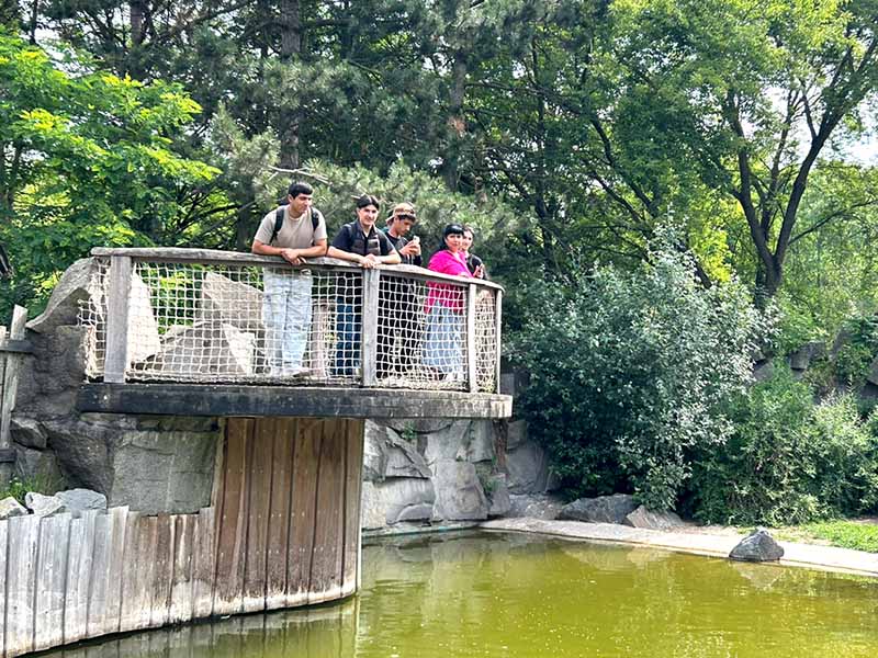 WKK31 im Tierpark